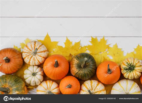 Pumpkins and maple leaves Stock Photo by ©yellow2j 308269140