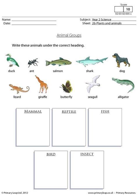 Science: Animal groups 1 | Worksheet | PrimaryLeap.co.uk | Animal ...