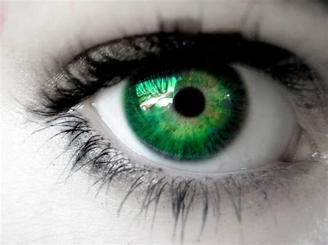 Are Green Eyes Really An Attractive Trait? | SiOWfa16: Science in Our ...