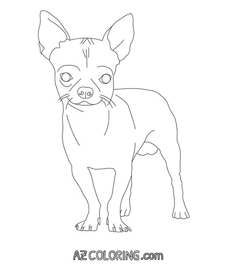 Chihuahua Coloring Pages - Coloring Home