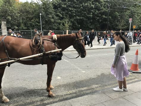 Horse & Buggy Ride, Dublin