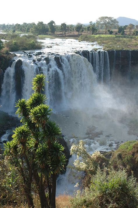 Blue Nile Falls, Ethiopia Photograph by Christophe cerisier - Fine Art ...