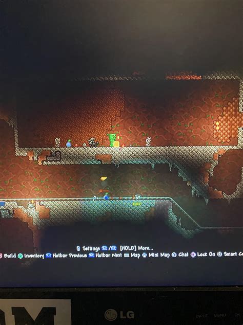 Is that good gór the gemcorn farm ? : r/Terraria