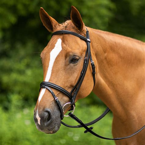 Stubben Leitrim English Bridle | Schneiders Saddlery