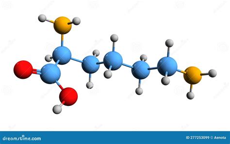 3D Image of Lysine Skeletal Formula Stock Illustration - Illustration ...