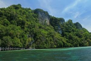 Quezon, Palawan: Ramble Across Philippine Prehistory at Tabon Caves ...