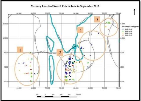 Mercury Levels of Swordfish | Download Scientific Diagram