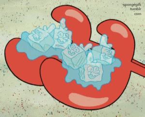 krusty krab | Tag | PrimoGIF