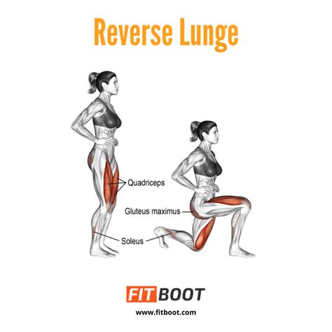 Reverse Lunges Muscles Worked