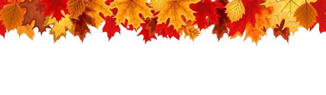 Autumn Seamless Border with Falling Autumn Leaves. Vector Illustration ...