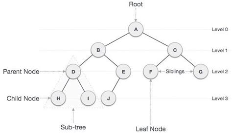 Tree Data Structure