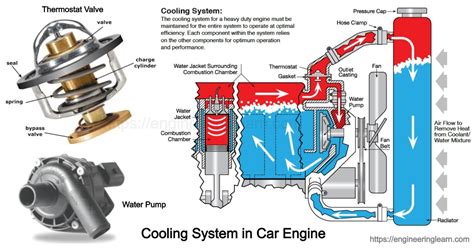 Types of Cooling System in Car Engine: Components & Function ...