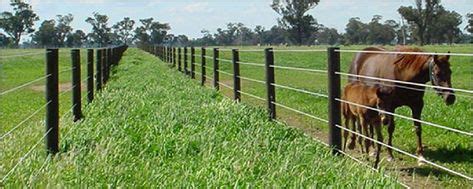 Fancy Horse Fence Post Spacing label Fence Gate | Horse fencing, Horses ...