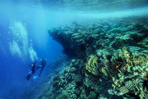 Smith Ocean Adventure Travel - Blog - Best Red Sea Diving Resorts