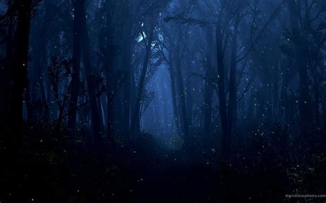 Animals and Nature, Night Time Forest HD wallpaper | Pxfuel