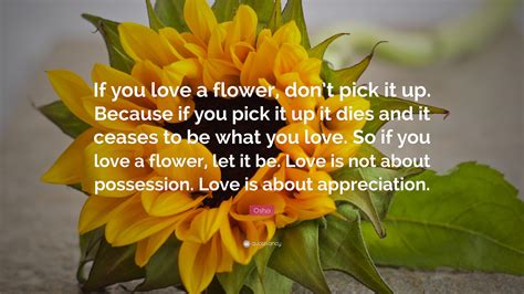 Osho Quote: “If you love a flower, don’t pick it up. Because if you ...