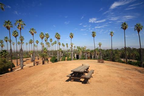 California Citrus State Historic Park in Riverside - California Through ...