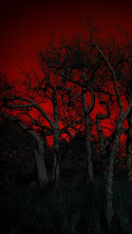 Creepy Red Forest Wallpaper