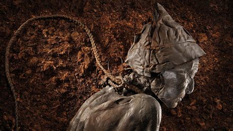 We thought we knew the secrets of Europe's bog bodies. We didn't.