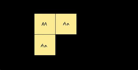 Ten Punnett Square Worksheet Ideas for Middle School through AP Levels