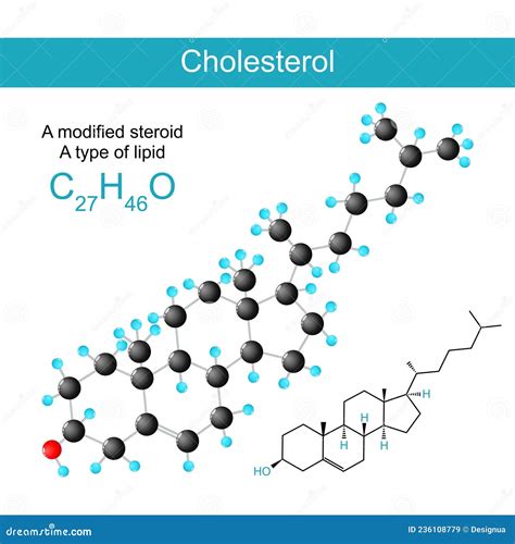 Cholesterol Molecular Chemical Structural Formula Stock Vector ...