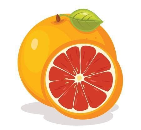 clipart grapefruit 20 free Cliparts | Download images on Clipground 2024