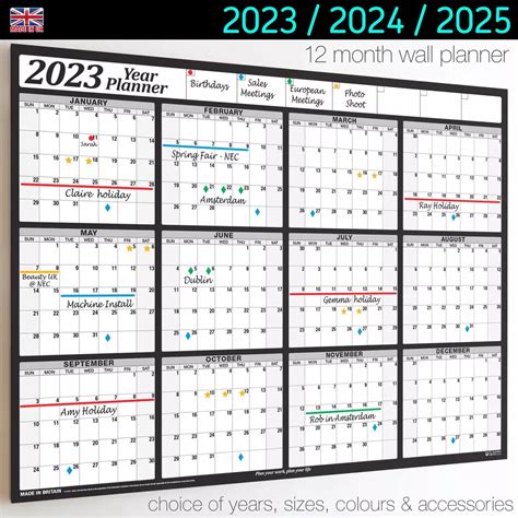 2024 2025 Wall Calendar - Ashia Callida