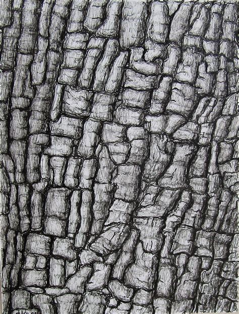 Bark, ink drawing | Tree textures, Tree drawing, Elements of design texture