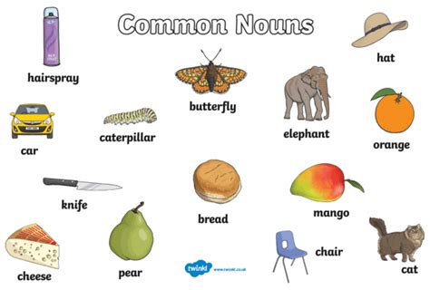 What is a common noun? | Grammar | Twinkl Teaching Wiki