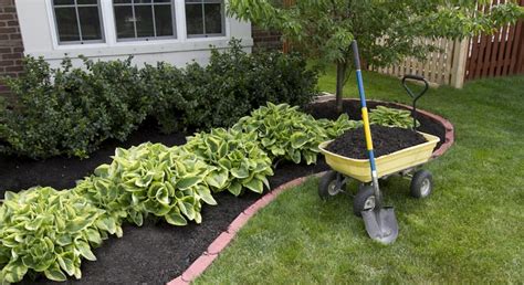 Wood Chip Mulch: Benefits & How to Use It in Your Garden - CoffeeChat