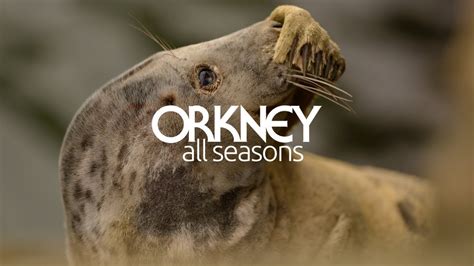 Follow the Wildlife Trail in Orkney - YouTube