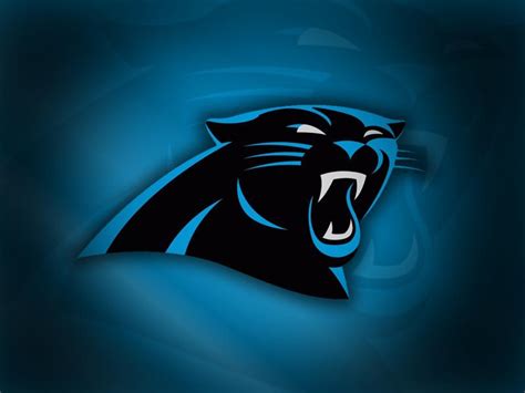 Carolina Panthers owner donates $100K to Charleston victims fund