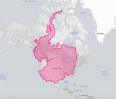 Antarctica's size compared to North America | Infographic map, Map ...