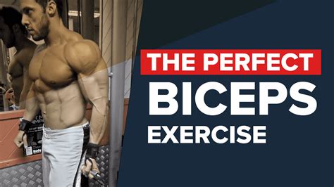 Bayesian curls: the best biceps builder