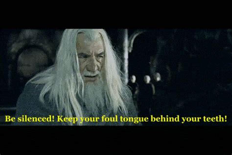 Be Silenced Gandalf GIF - Be silenced Gandalf Lord of the rings ...