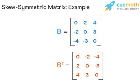 Skew Symmetric Matrix - Definition, Properties, Theorems, Examples