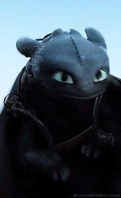 Toothless Gif How To Train Your Dragon 2