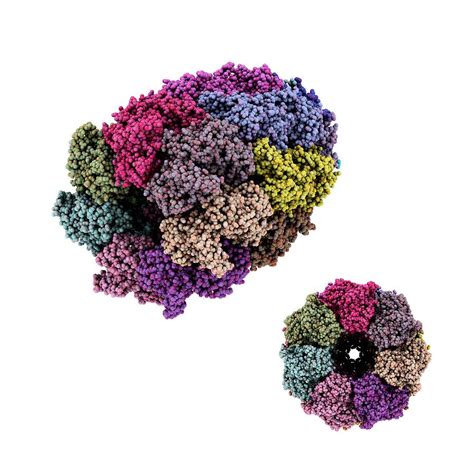 Chaperone Protein, Molecular Model Photograph by Laguna Design - Pixels