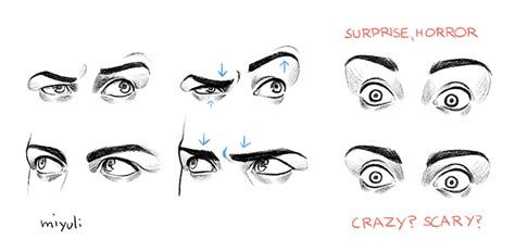 Basic Drawing Eyes - How To Draw A Face For Beginners | Driskulin