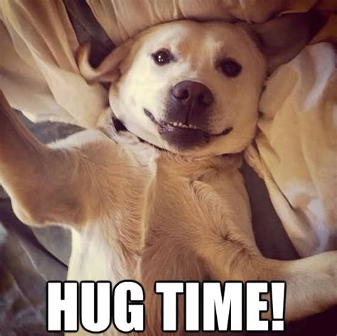 Funny Hug Meme hug time | Picsmine