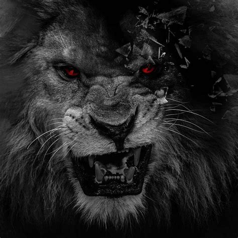 Black Lion With Red Eyes, scary lions HD phone wallpaper | Pxfuel