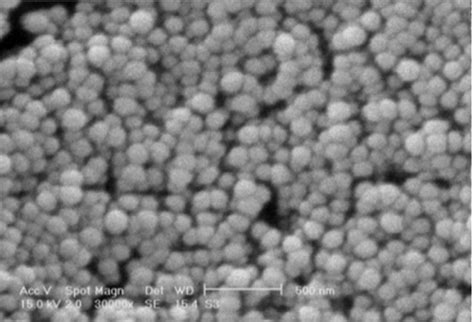 Chitosan Nanoparticles - Properties and Applications