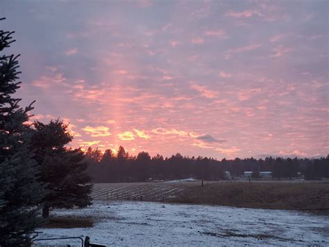 Deer Park WA, Christmas 2019 : r/PacificNorthwest