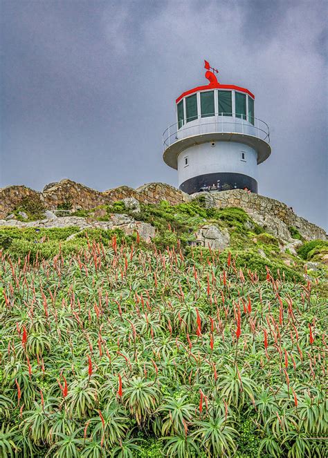 Cape Point Lighthouse, South Africa Photograph by Marcy Wielfaert ...