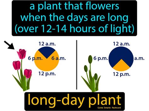 Long Day Plant - Easy Science | Plants, Plant games, Day