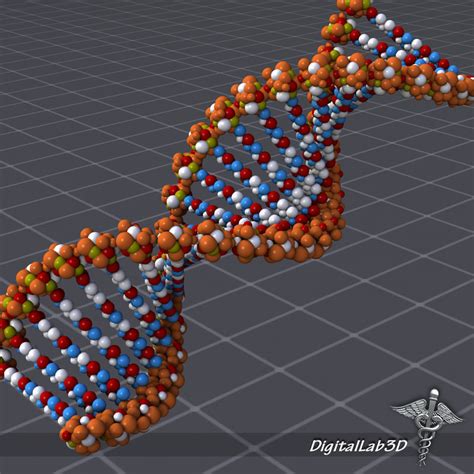 dna structure molecules 3d max