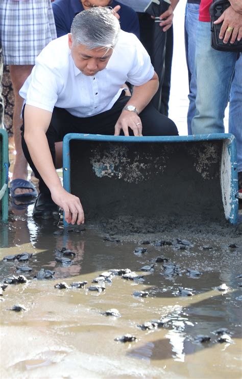 Dipolognons send pawikan hatchlings off to sea