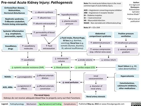 Pre-Renal Acute Kidney Injury: Pathogenesis | Calgary Guide