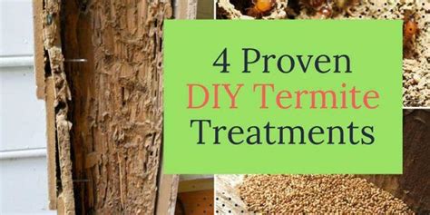 4 Proven DIY Termite Treatments | Termite treatment, Diy termite ...