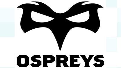 Ospreys chairman resigns amid 'catastrophic mismanagement' of regional ...